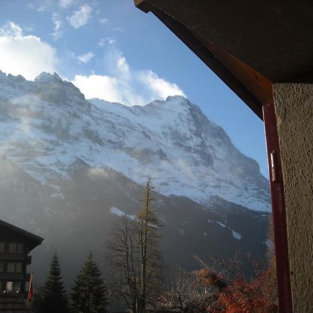 Pfaffenstöckli Lägenhet Grindelwald Exteriör bild