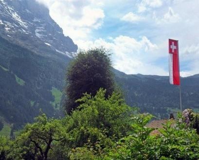 Pfaffenstöckli Lägenhet Grindelwald Exteriör bild