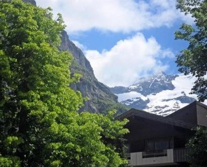 Pfaffenstöckli Lägenhet Grindelwald Rum bild