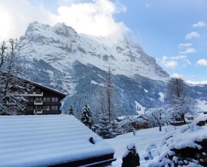Pfaffenstöckli Lägenhet Grindelwald Rum bild