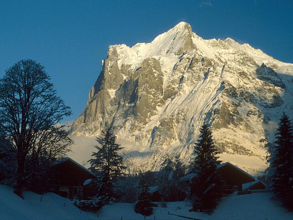 Pfaffenstöckli Lägenhet Grindelwald Exteriör bild